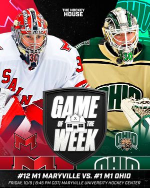 Image post by @hockeyhousepod on Instagram