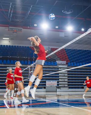 Image post by @fauvolleyball on Instagram