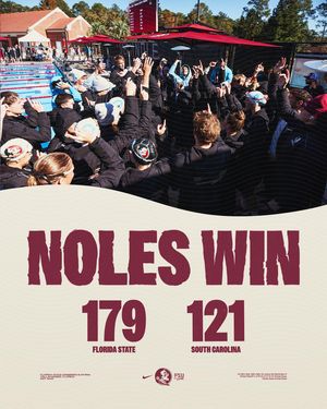 Image post by @fsuswimdive on Instagram