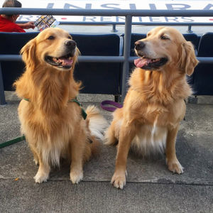 Image post by @sussexcountyminers on Instagram