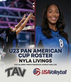 Image post by @tavvolleyball on Instagram