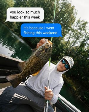 Image post by @profishiency on Instagram