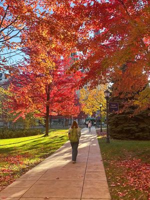 Image post by @marquetteu on Instagram