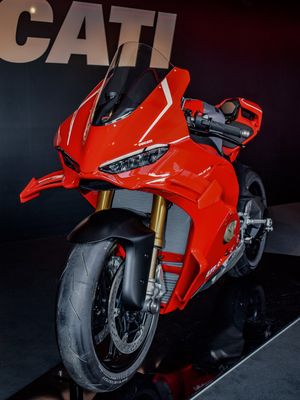 Image post by @panigalers on Instagram
