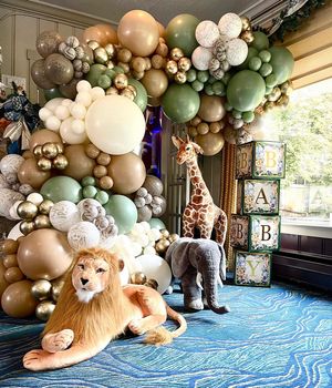 Image post by @balloons_by_victoria_dz on Instagram