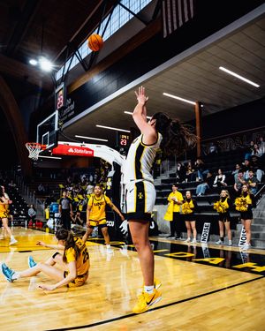 Image post by @vandalswbb on Instagram