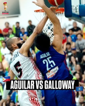 Image post by @fibawc on Instagram