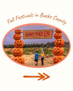 Image post by @visitbuckspa on Instagram