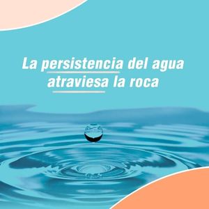 Image post by @s.presafit on Instagram