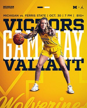 Image post by @umichwbball on Instagram