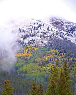 Image post by @9newsdenver on Instagram