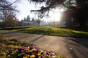 Image post by @uoregon on Instagram
