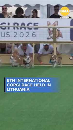 Video post by @gma on TikTok