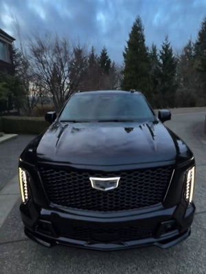 Video post by @cadillac on TikTok