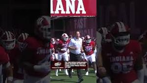 Video post by @cfbonfox on YouTube