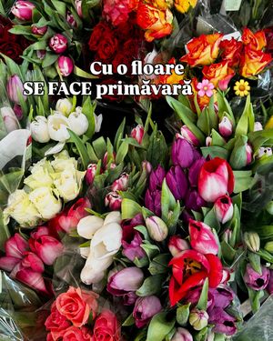 Image post by @lidlromania on Instagram
