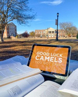 Image post by @campbelledu on Instagram