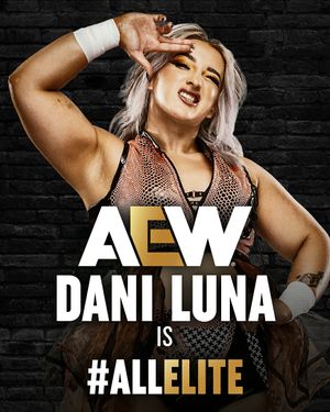 Image post by @aew on Instagram