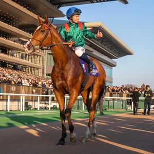 Image post by @worldhorseracing on Instagram