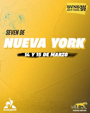 Image post by @lospumas7s on Instagram