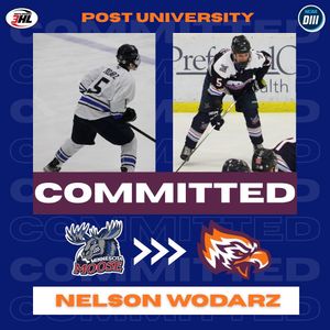 Image post by @mnmoosehockey on Instagram