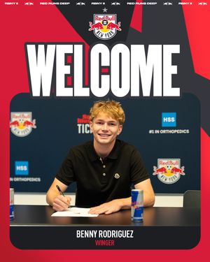 Image post by @redbullnewyork2 on Instagram