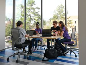 Image post by @SFASU on Twitter