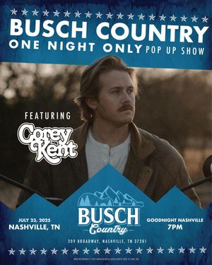Image post by @BuschBeer on Twitter