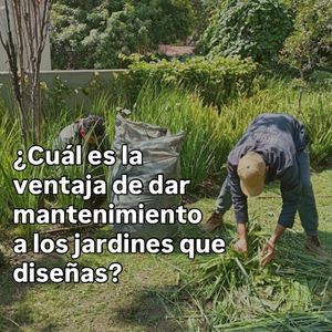 Image post by @fernandarionda on Instagram