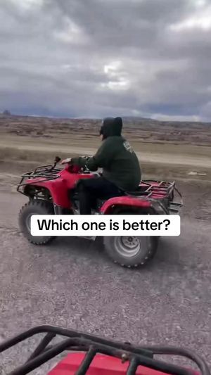 Video post by @vivalastool on TikTok