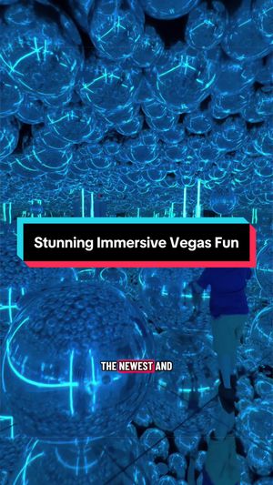 Video post by @vegasstarfish on TikTok