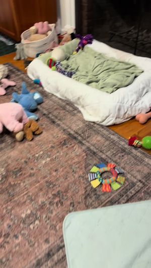Video post by @pinkpigletpuppy on TikTok