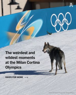 Image post by @theathletichq on Instagram