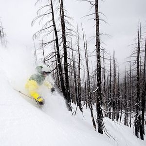 Image post by @whistlerblackcomb on Instagram