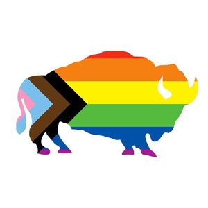 Image post by @buffalobisons on Instagram