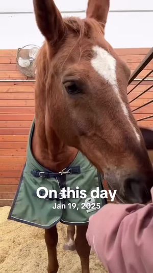 Video post by @kate.cassaidy on TikTok