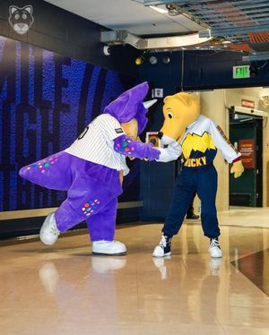 Image post by @thesupermascot on Instagram