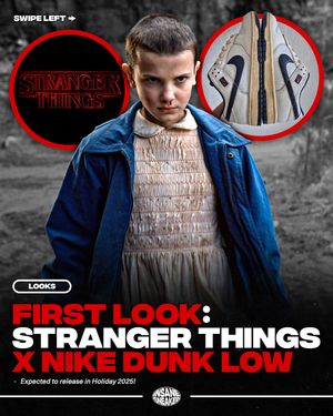 Image post by @insanesneaker on Instagram