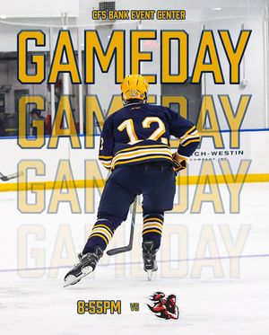 Image post by @wvuhockeyd4 on Instagram