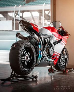 Image post by @panigalers on Instagram