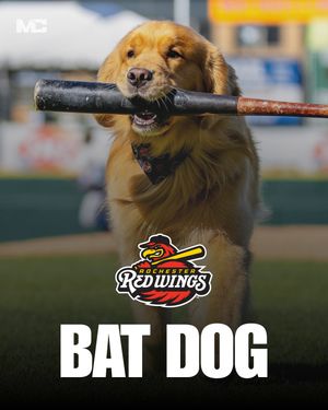 Image post by @milb_central on Instagram