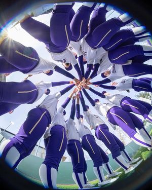 Image post by @uwsoftball on Instagram