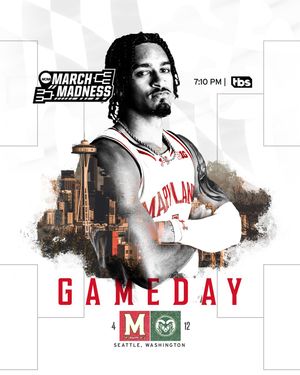 Image post by @terrapinhoops on Instagram