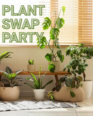 Image post by @mplsdtparks on Instagram