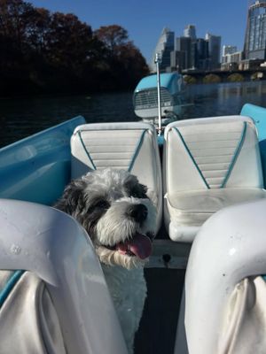 Image post by @retroboatrentalsatx on Facebook