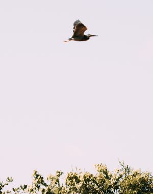 Image post by @ale.focapro on Instagram