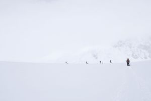 Image post by @nicogantz on Instagram