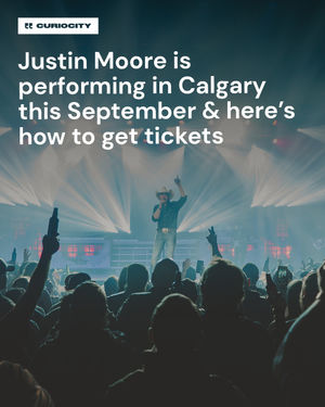 Image post by @curiocitycalgary on Instagram