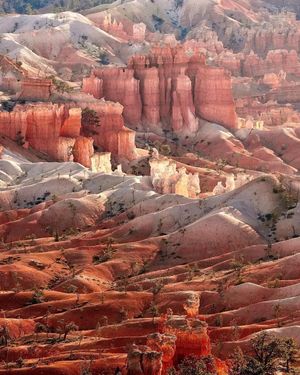 Image post by @nationalparkscollective on Instagram