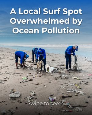Image post by @4ocean on Instagram